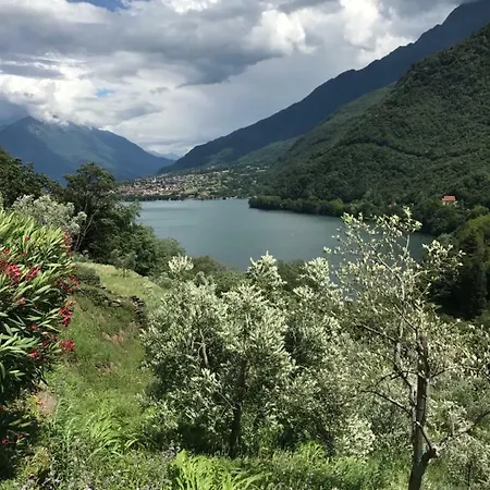 Gli Ulivi Olgiasca