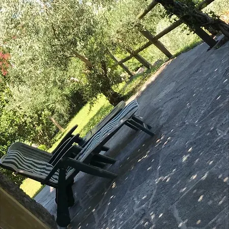 Gli Ulivi *