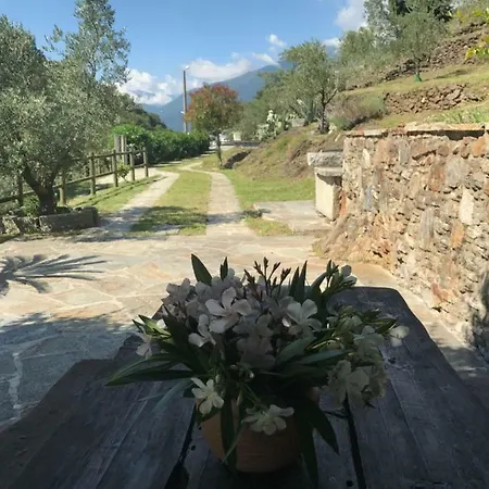 Gli Ulivi 別荘
